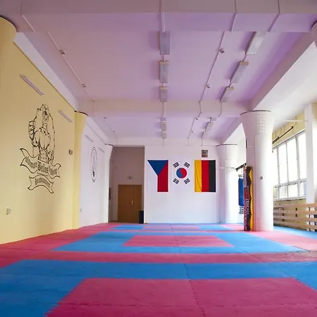 Martial Arts Sleepover Gym ホステル *