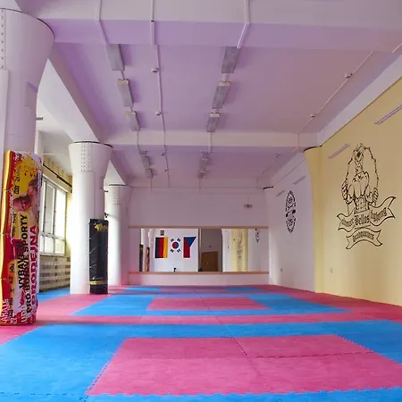 Hostel Martial Arts Sleepover Gym Πράγα