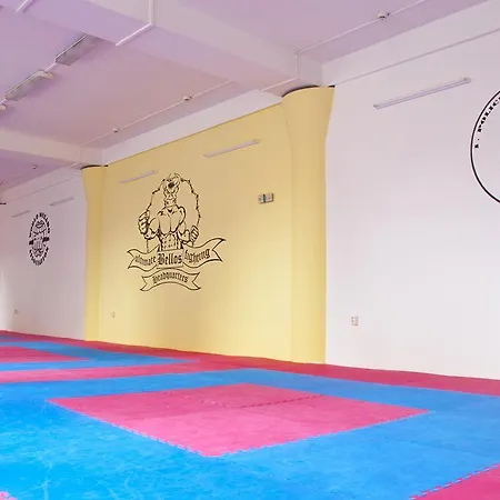ホステル Martial Arts Sleepover Gym
